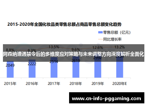 阿森纳遭遇禁令后的多维度应对策略与未来调整方向深度解析全面化 阿森纳遭遇禁令后的多维度应对策略与未来调整方向深度解析全面化