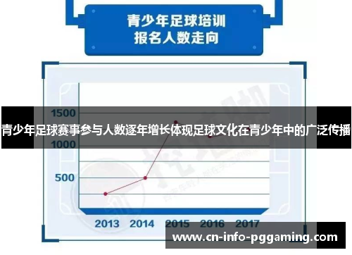 青少年足球赛事参与人数逐年增长体现足球文化在青少年中的广泛传播