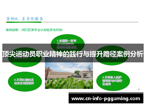 顶尖运动员职业精神的践行与提升路径案例分析 顶尖运动员职业精神的践行与提升路径案例分析