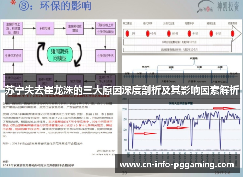 苏宁失去崔龙洙的三大原因深度剖析及其影响因素解析 苏宁失去崔龙洙的三大原因深度剖析及其影响因素解析