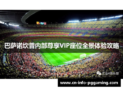 巴萨诺坎普内部尊享VIP座位全景体验攻略